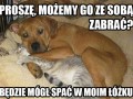Możemy go przygarnąć