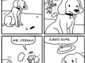 Kuszenie