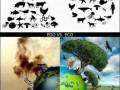 Eco vs ego