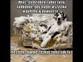 Wszystko wyjeało