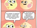 Logika komórek tłuszczowych