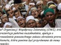 Islam tak bardzo pokojowy