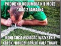 Kolumbia i jamajka