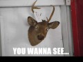 Dead body
