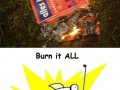 Burn it all