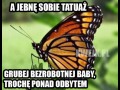 Spermołapki najlepiej