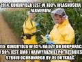Tymczasem w usa