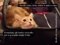 Na koniec świata