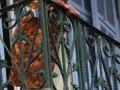 Uliczny
