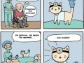 Doktor kot