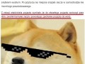 Doge with it