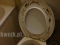 Tylko to tu zostawię