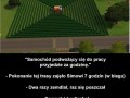 Jak profesjonalnie torturować sima