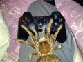 Arachnofobia