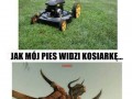 Kosiarka