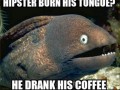 Hipsterzy d