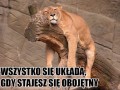Wszystko się ułoży
