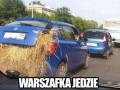 Warszafka