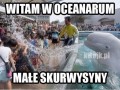 Oceanarium