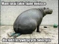 Dobre miejsce