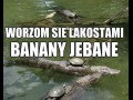 Banany