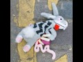 Kroliczek