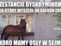 Przestańcie dyskryminować konia