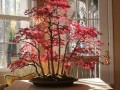 Niesamowite bonsai