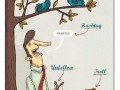 Twitter for dummies