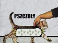 Czemu koty mruczą