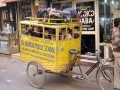 Gimbus w indiach