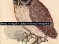 Piękne marzenie