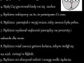 10 Kocich przykazań