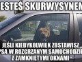 Drogi właścicielu