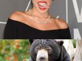 Miley vs bear