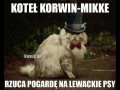 Koteł korwin mikke