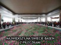 Swietne