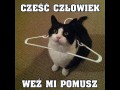 Cześć człowiek