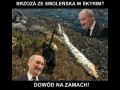 Brzoza