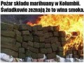 Czyja to była wina