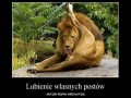 Lajkowanie własnych postów