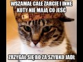 Scumbag koteł