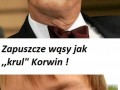 Typowy wyborca knp