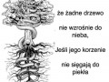 True 9