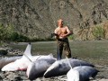 Samiec alfa lvl putin
