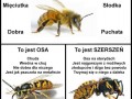 Poznaj różnicę