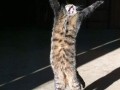 And iiiiiiiiii