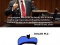 Dolan plz 1