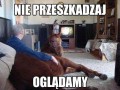 Nie przeszkadzaj
