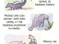 Czego nauczyły mnie zwierzęta
